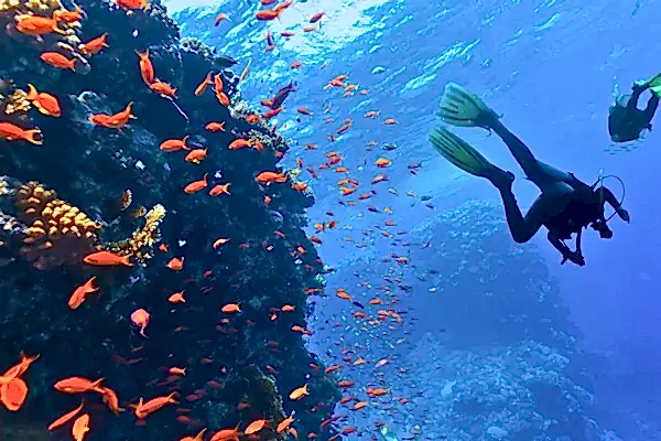 Fethiye Tüplü Dalış